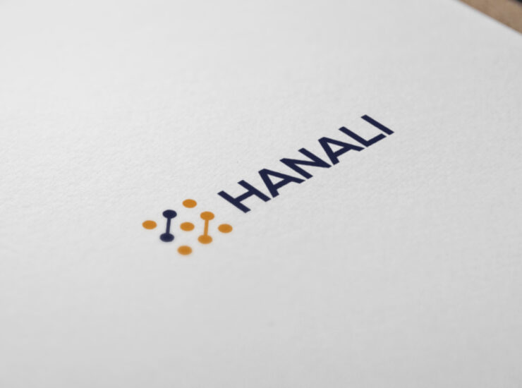 Разработка логотипа HANALI