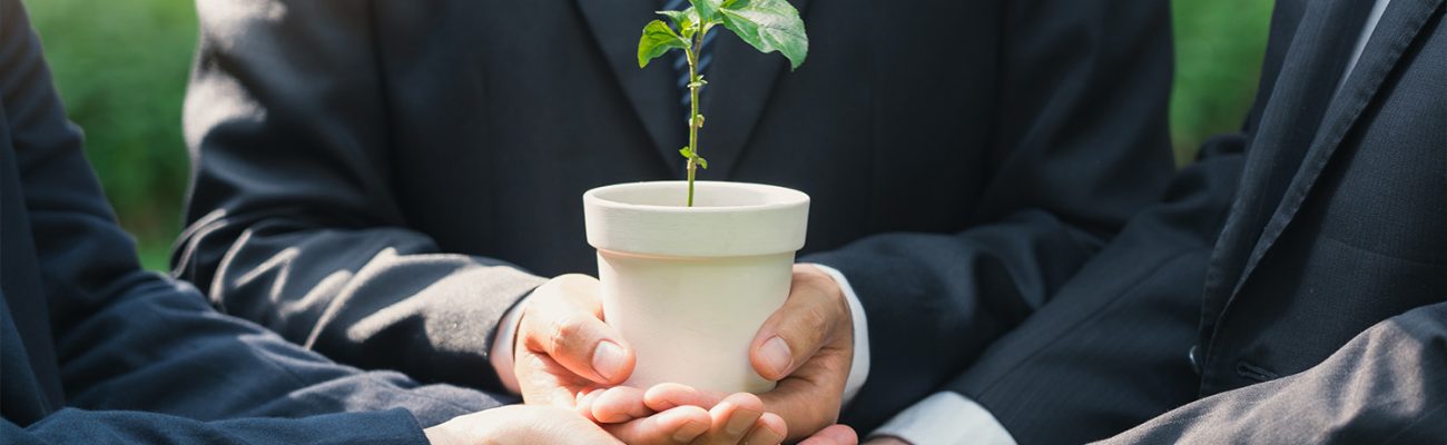 Консалтинг и рост